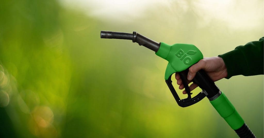 hand holding biofuel pump